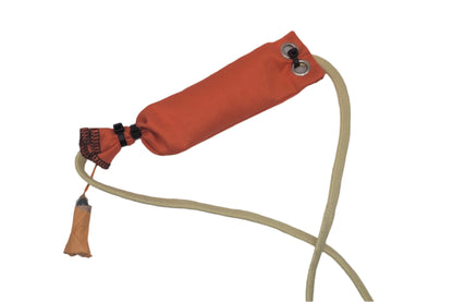 RoysRockets Easy Apogee Sled