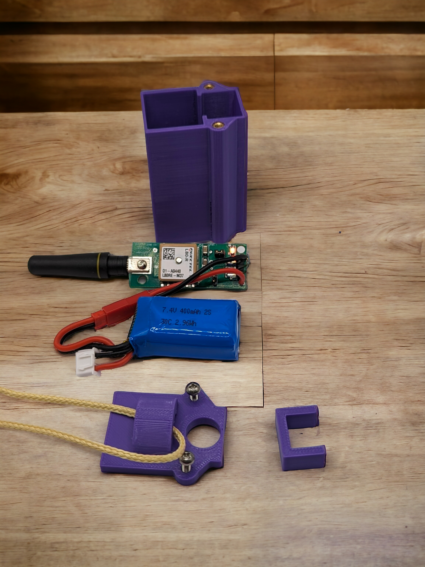 2S Eggfinder Mini Case