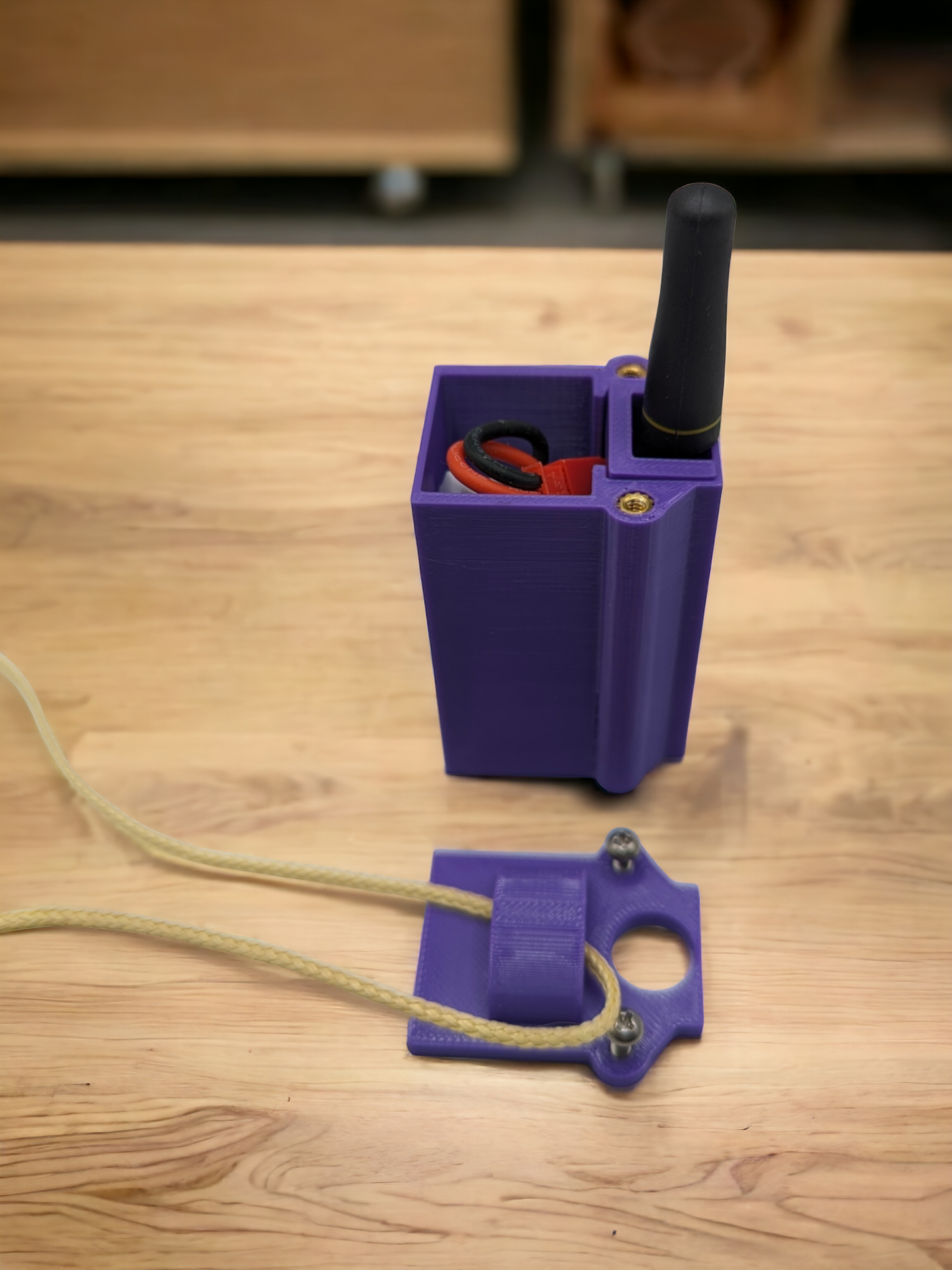 2S Eggfinder Mini Case