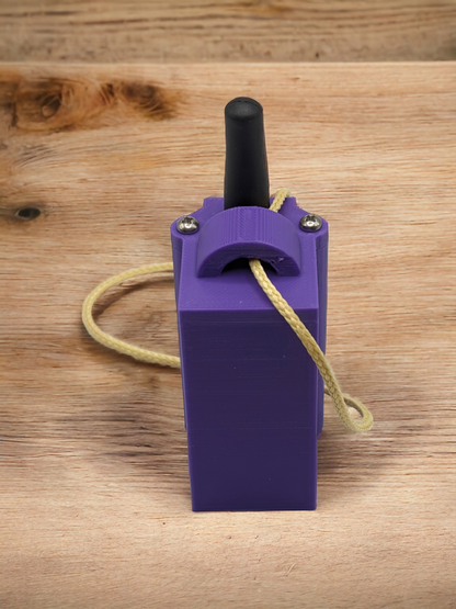 2S Eggfinder Mini Case