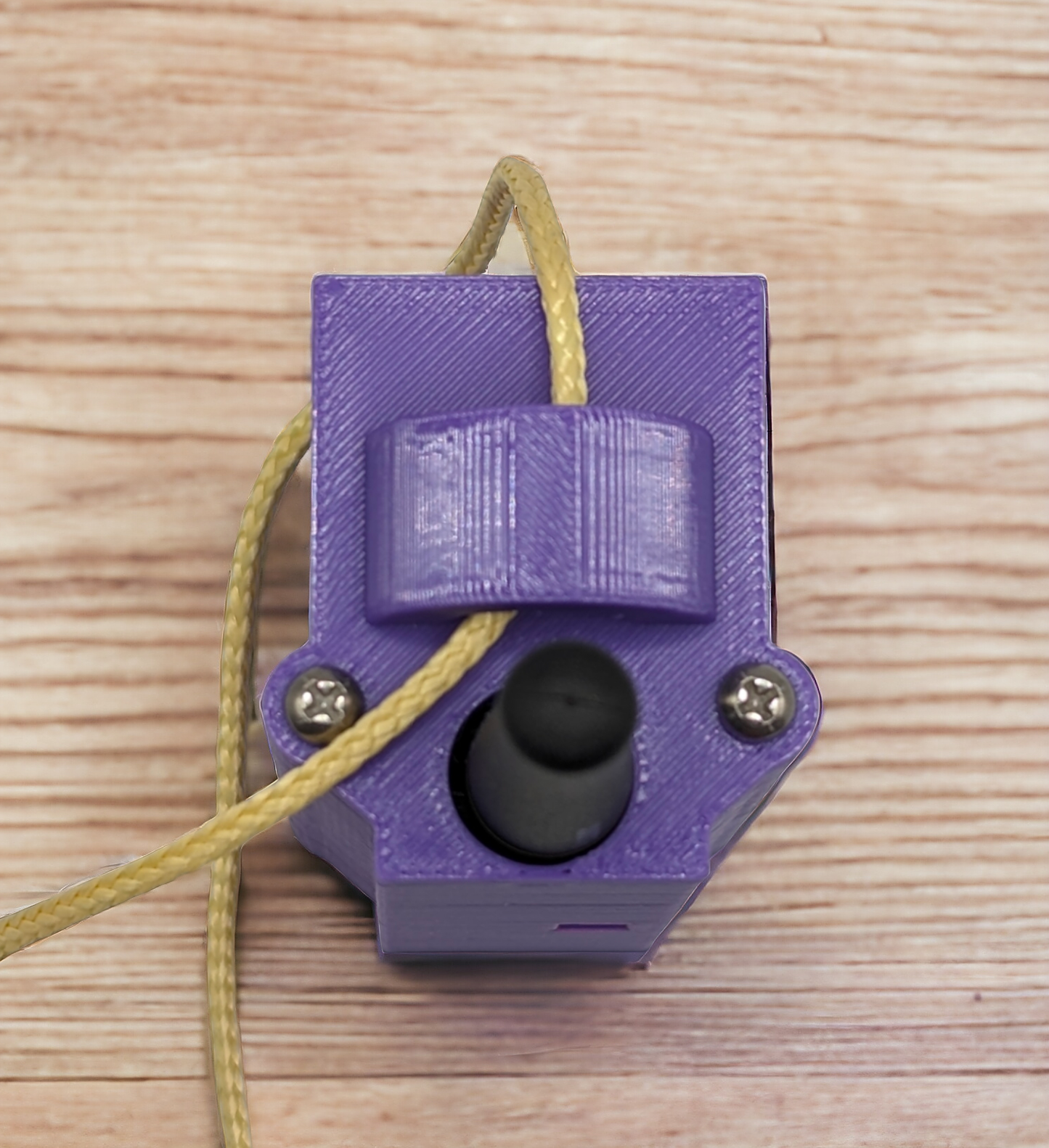 2S Eggfinder Mini Case